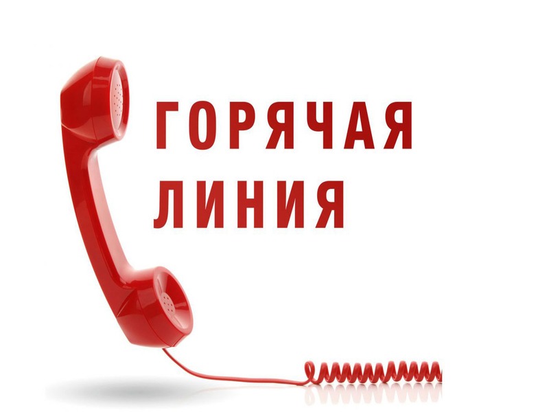 О проведении «Горячей линии».