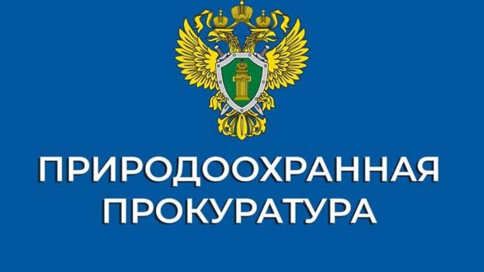 Информация от природоохранной прокуратуры Новгородской области.