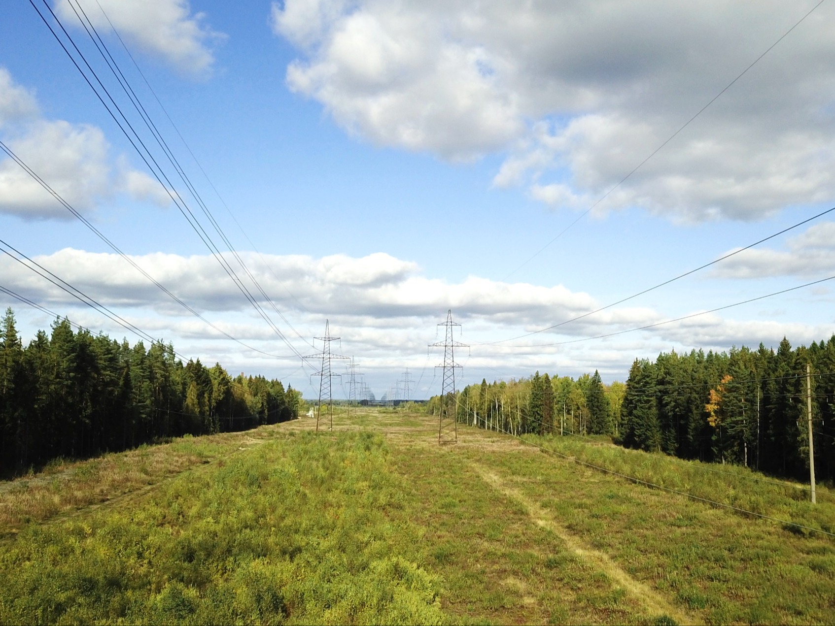 Филиал ПАО «Россети» расчистил трассы магистральных электросетей в Псковской и Новгородской областях.